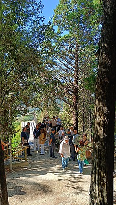 Amore ogni cosa Chiama 5.9 (34)