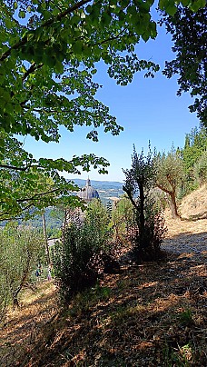 Amore ogni cosa Chiama 5.9 (76)