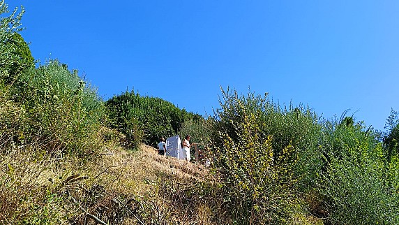 Amore ogni cosa Chiama 5.9 (101)