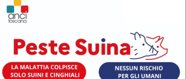 Immagine principale
