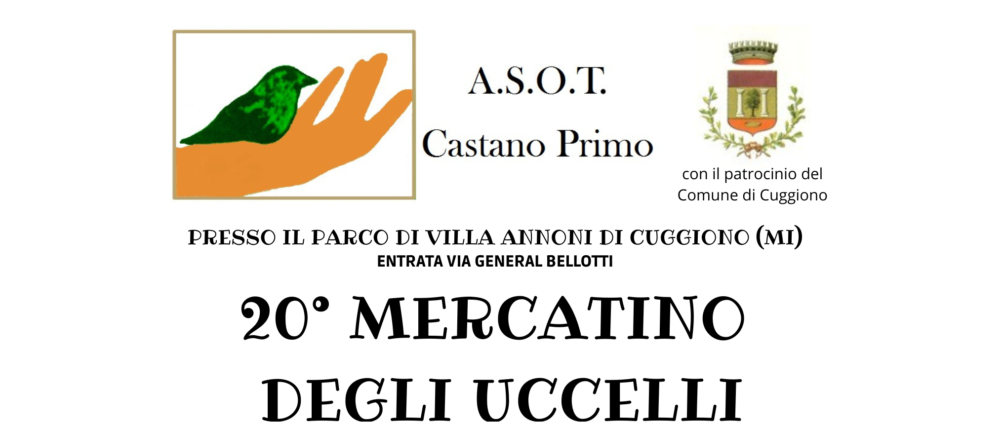 Immagine principale