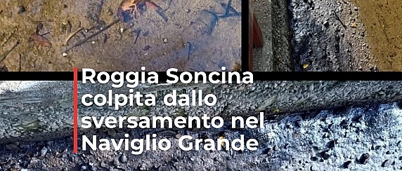 Sversamento idrocarburi - Roggia Soncina