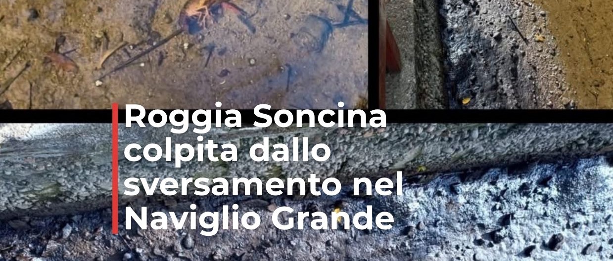Immagine principale