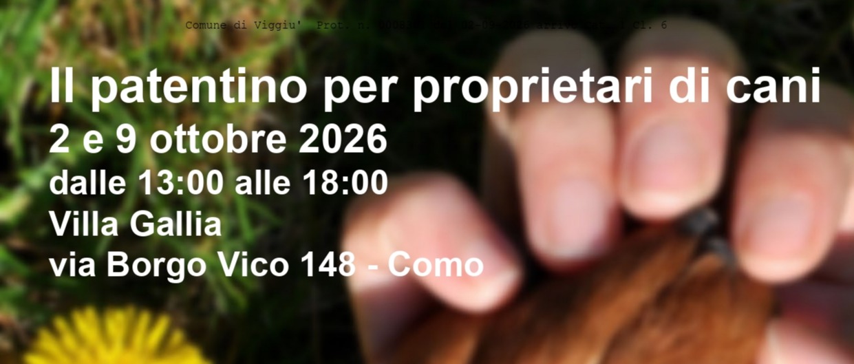 Immagine principale
