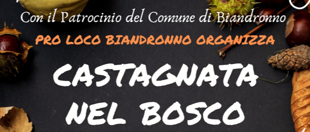 Immagine principale