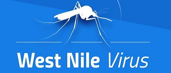 Zanzare e West Nile: nuove misure a San Salvo