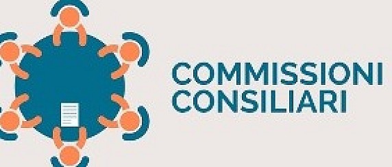Commissione consiliare 1 "Affari generali e sviluppo economico del territorio"