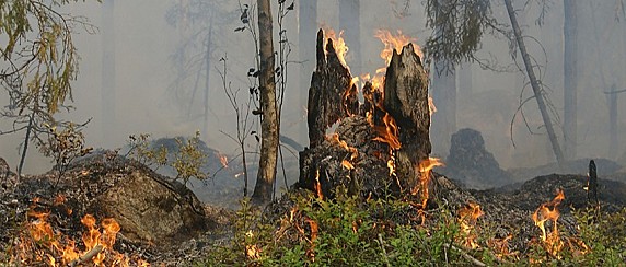 Attivazione della fase di ATTENZIONE per gli incendi boschivi dal 14.09.2026 al 20.09.2026