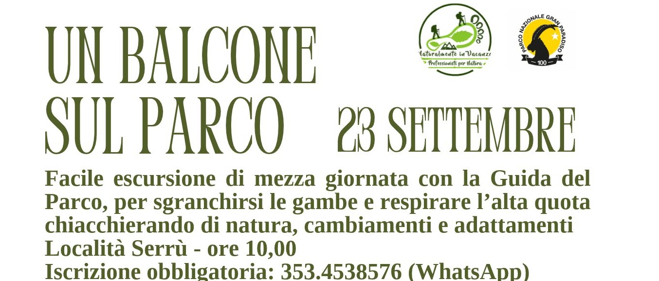 Immagine principale