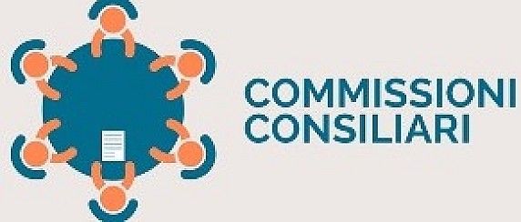Commissione consiliare 5 "Sostenibilità, bilancio e innovazione digitale"
