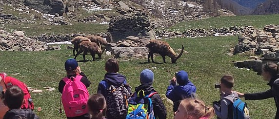 Escursioni e soggiorni per le scuole alla scoperta del P. N. Gran Paradiso