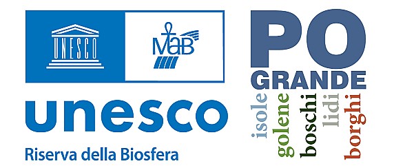 WaterBlitz di Po Grande