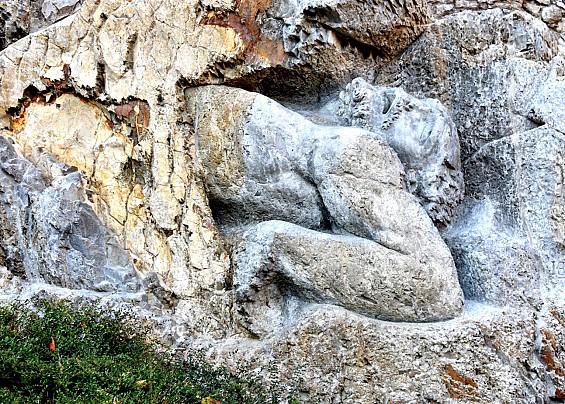 Immagine non trovata