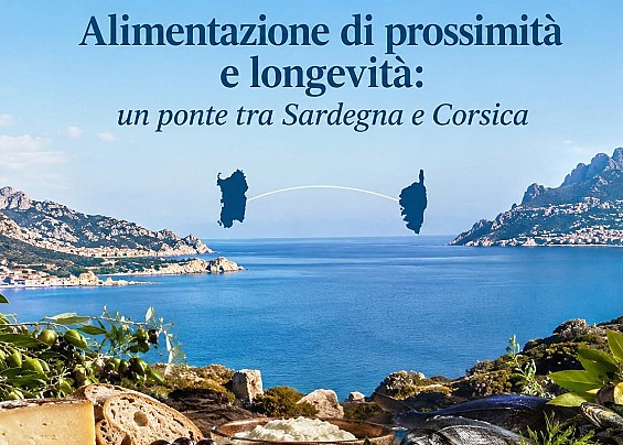 Immagine non trovata