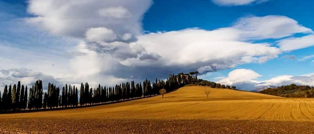Immagine principale