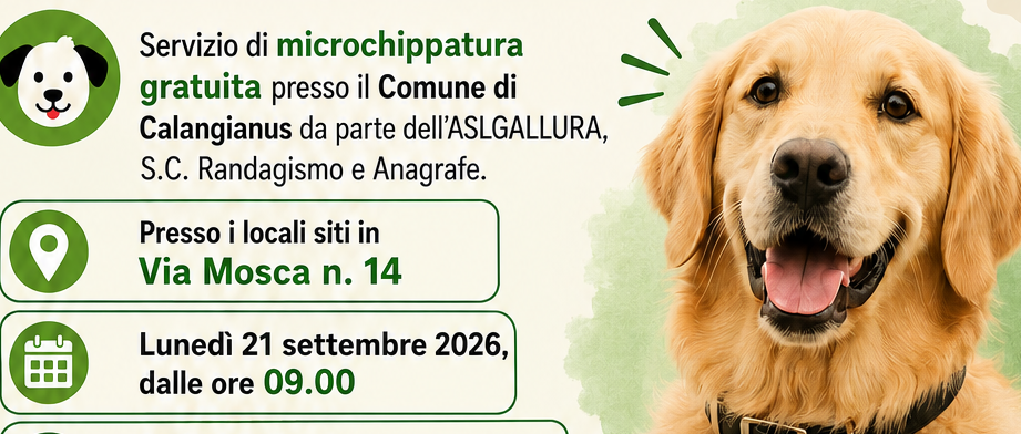 Immagine principale