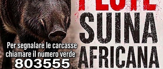 Emergenza peste suina africana - creazione bottone per gli aggiornamenti