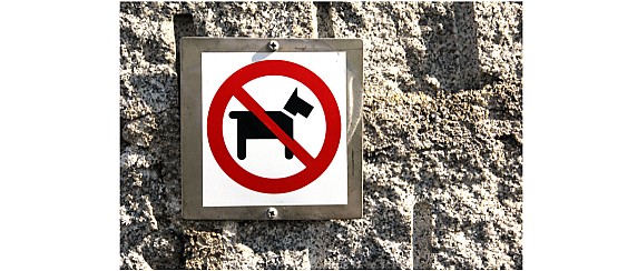 DIVIETO ACCESSO CANI PINETA ALBANO