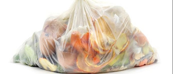 AVVISO Si avvisano i cittadini che per la raccolta dell’umido devono essere utilizzati rigorosamente sacchetti trasparenti e biodegradabili (qualsiasi colore tranne il nero) oppure sacchetti biodegradabili usati per la spesa.