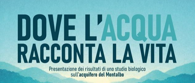Immagine principale