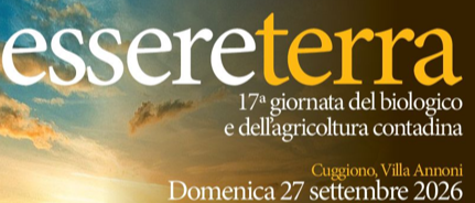 Immagine principale