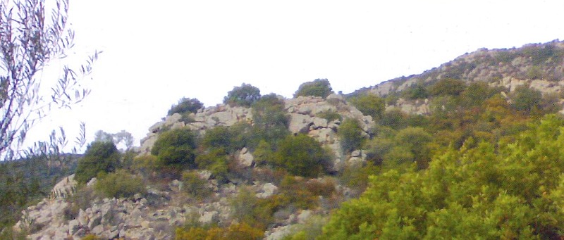 Immagine principale