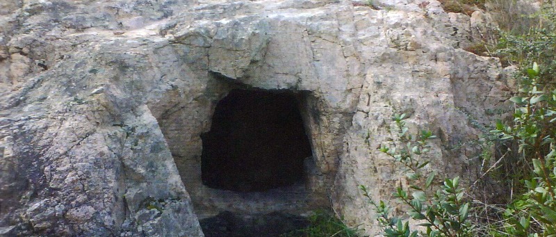 Immagine principale