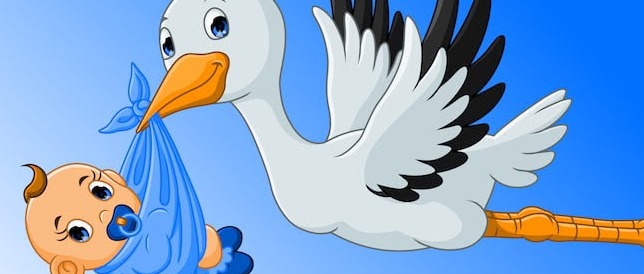 Immagine principale