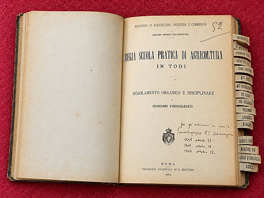ist agr irb (4)