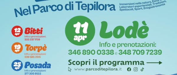 Immagine principale