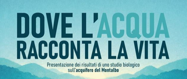 Immagine principale