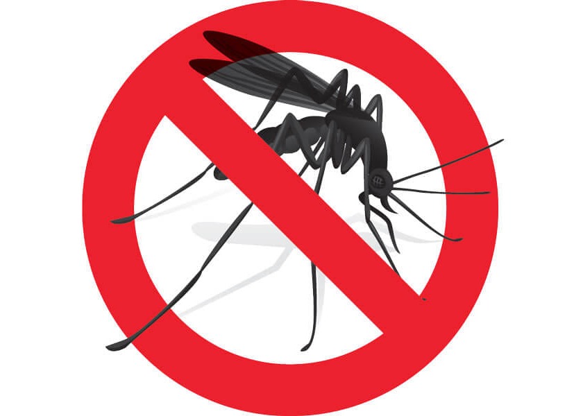 INTERVENTO DI DISINFESTAZIONE ADULTICIDA