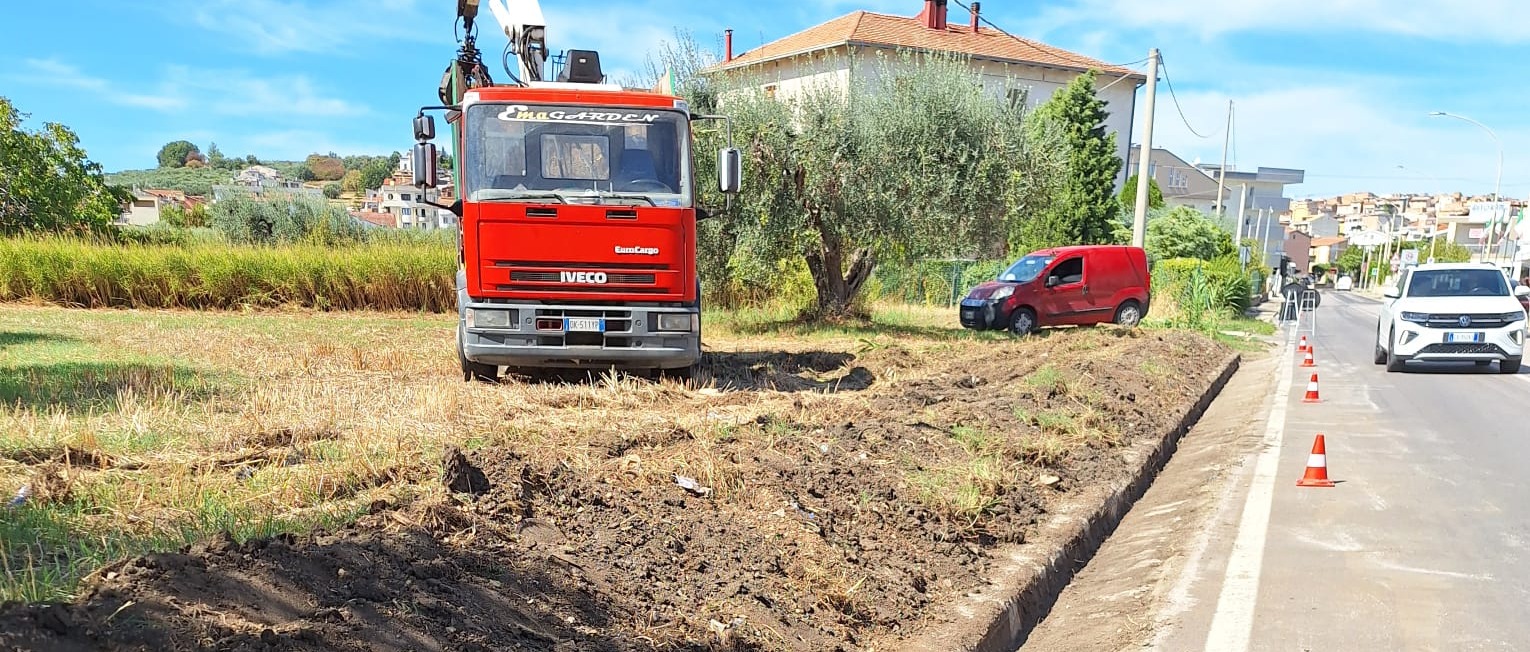 Immagine principale