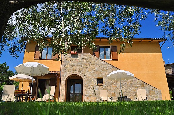 giardino-con-cornice-ulivi