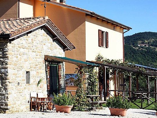coccinella