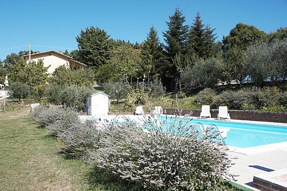 monte 5