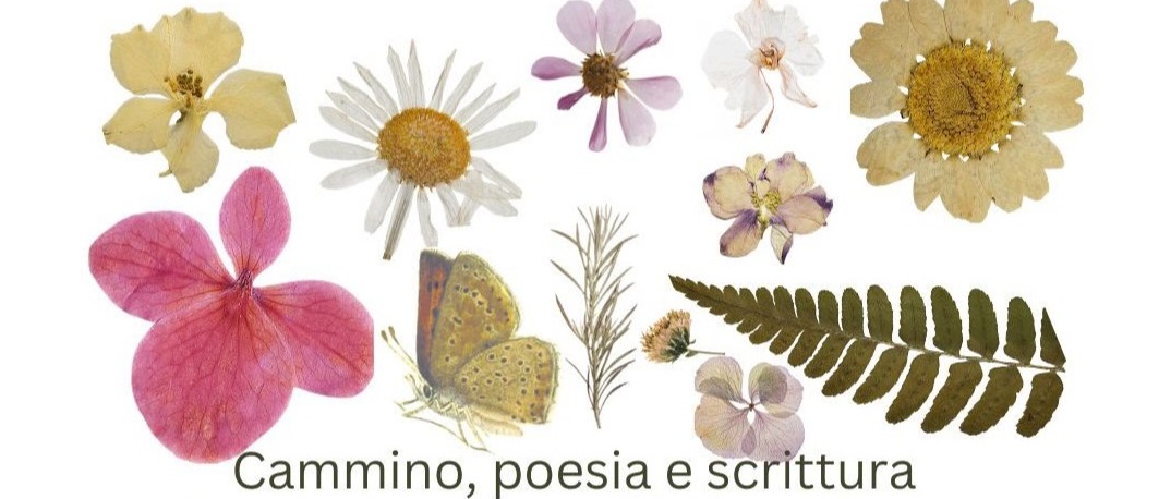 Immagine principale