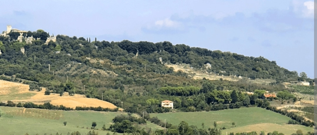 Avviso di avvio del procedimento per l'approvazione dell'Analisi Puntuale del Territorio e contestuale deposito degli atti per l'accertamento del regime civico ex L.R. 1/1986