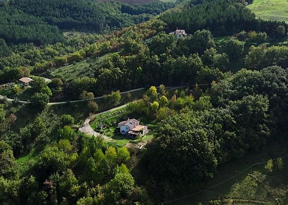 Oltrebosco