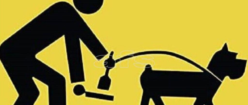 Immagine principale
