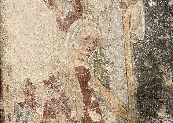 Immagine non trovata