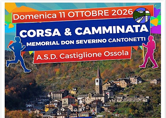 Immagine non trovata