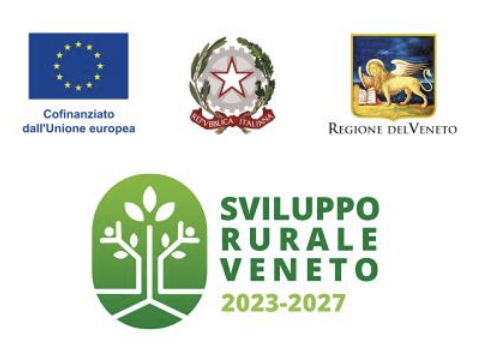 Attuazione Strategie di Sviluppo Locale