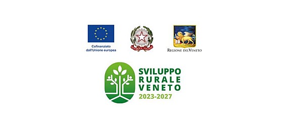 Attuazione delle  Strategie di Sviluppo Locale