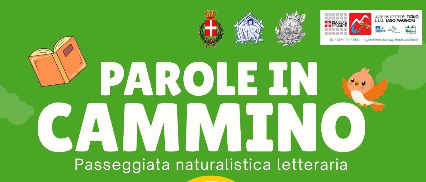 Immagine principale