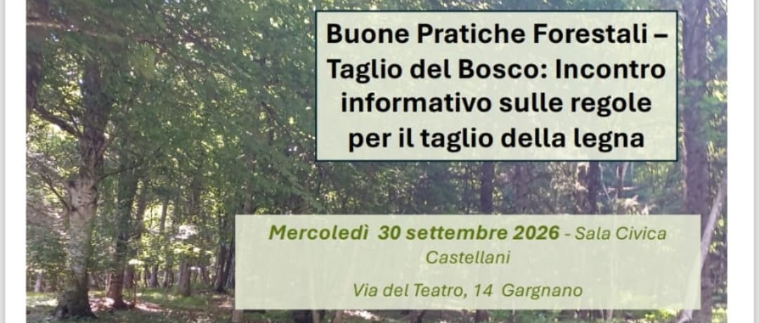 Immagine principale