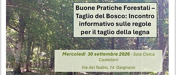 Taglio della legna nei boschi: regole, norme di sicurezza e prevenzione