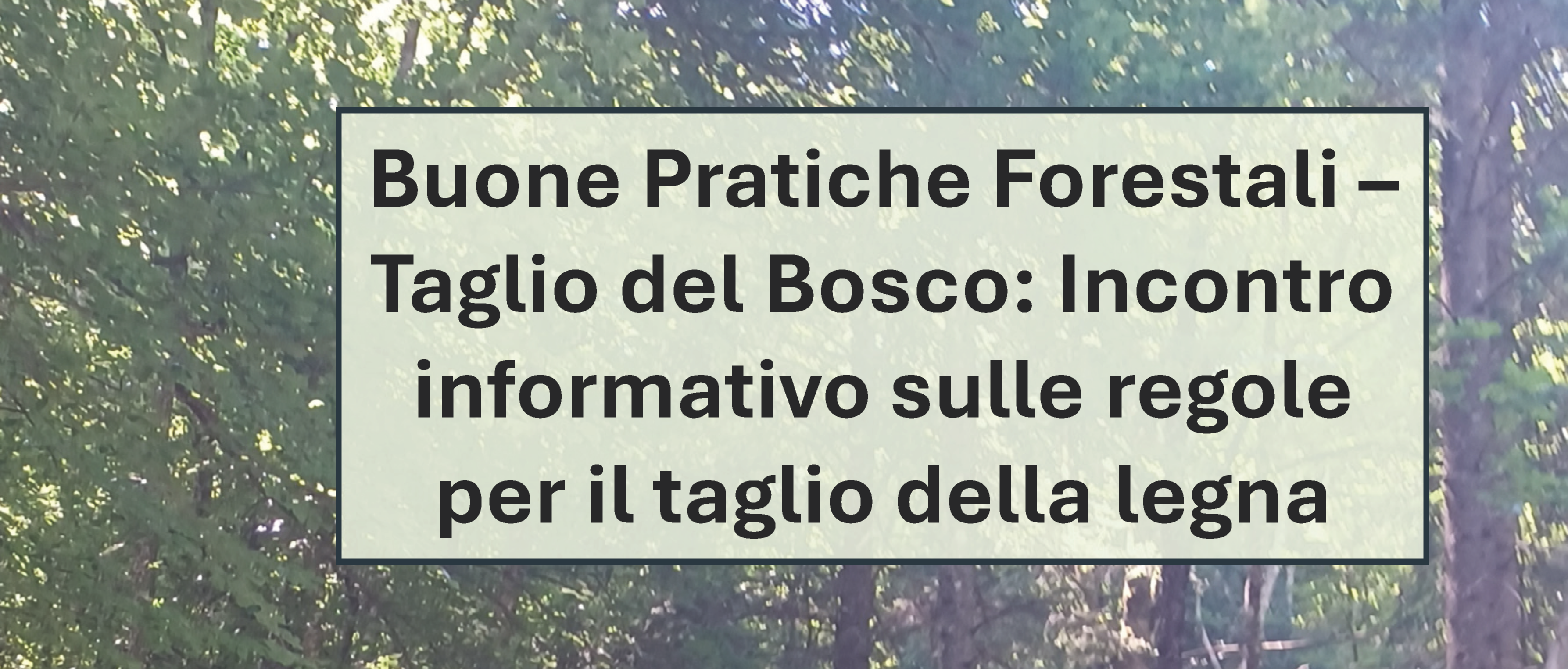 Immagine principale