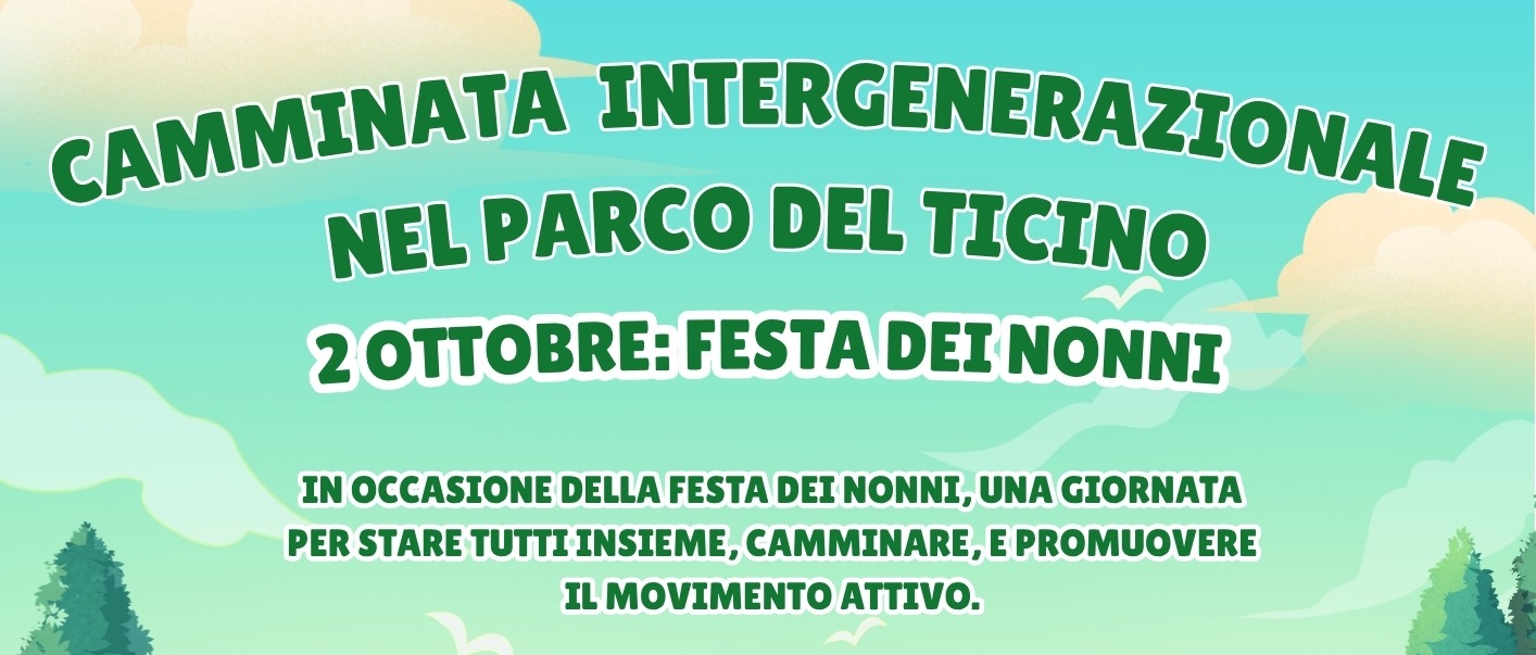 Immagine principale