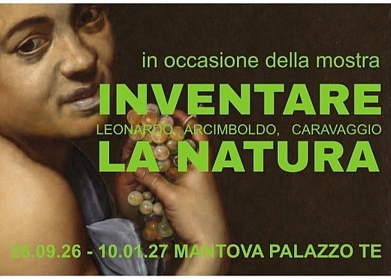 Immagine non trovata